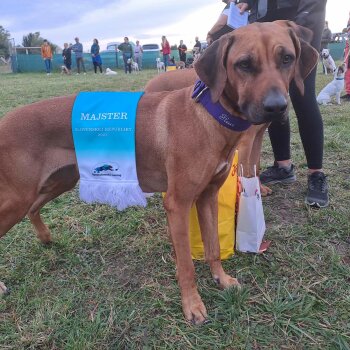 Fleur Mistr Slovenské republiky